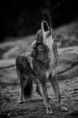 /album/fotogaleria/tablet-026-jpg/